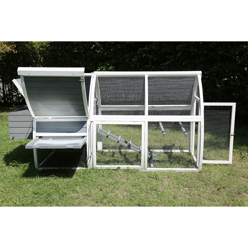 Pets Imperial® Chicken Coops Chicken Coop with Chicken Run For Up To 5 Chickens & Reviews Wayfair